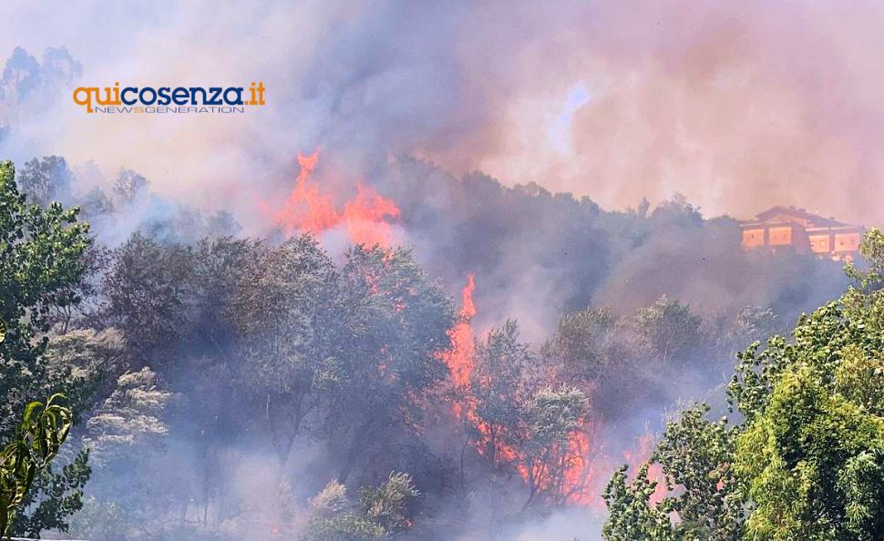 Codacons chiede a Regione e Comuni la copia del catasto incendi 51 Incendio SantAgostino Rende04
