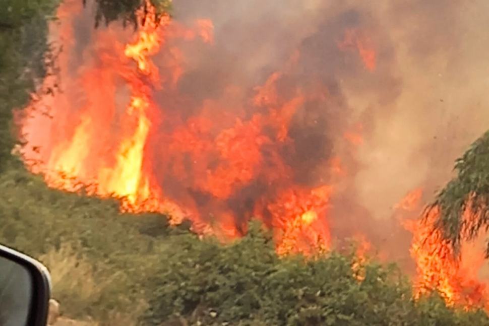 Ancora fiamme nel cosentino. Bloccati da ore tutti i treni sulla tratta Paola-Cosenza 51 Incendio Statale 18 02 1