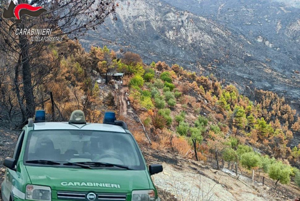 Trovato e denunciato l'autore dell'incendio che ha devastato il territorio di Albidona 62 Incendio carabinieri01