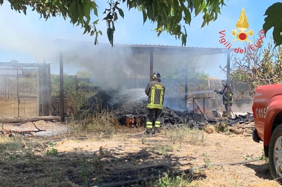 Divampa un incendio, anziano muore nel tentativo di salvare il suo pollaio 51 Incendio catasta legna2