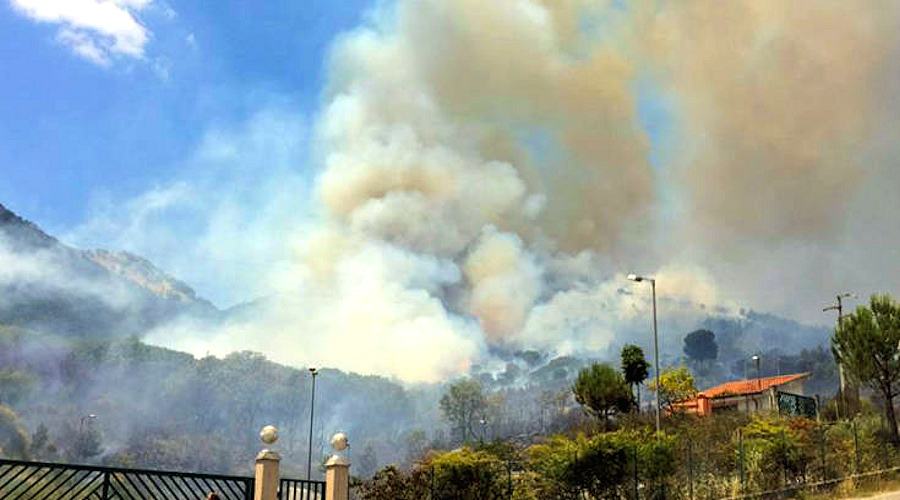 Incendio parco del pollino
