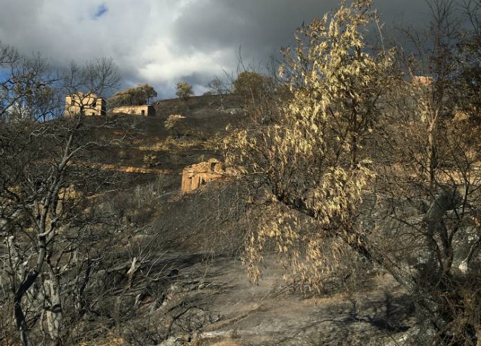 Incendio1 1
