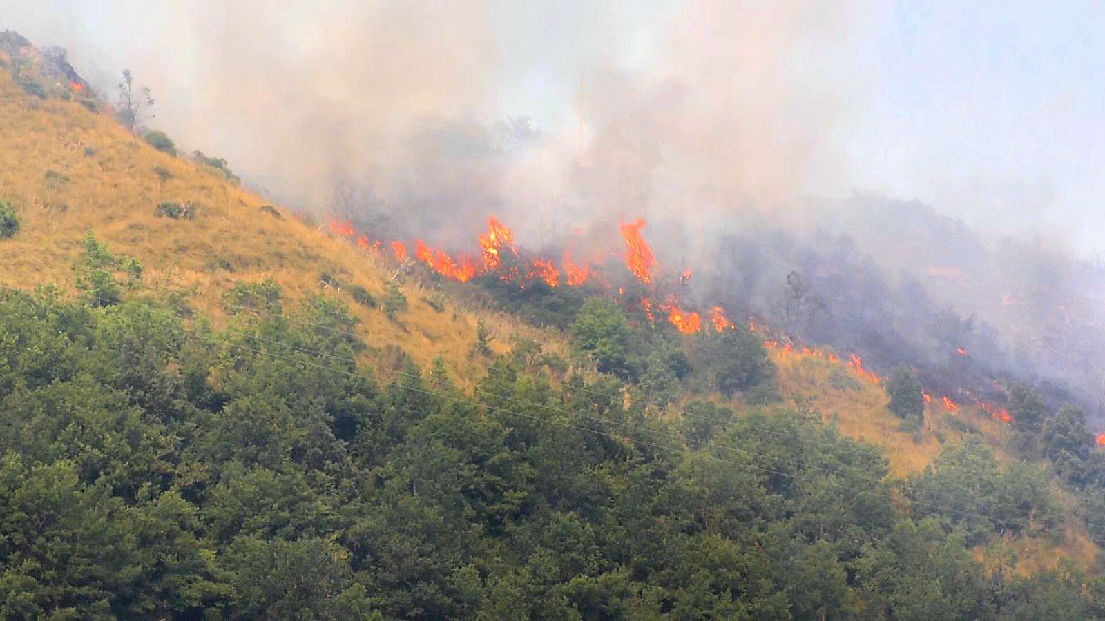 Incendit calabria verde1 2