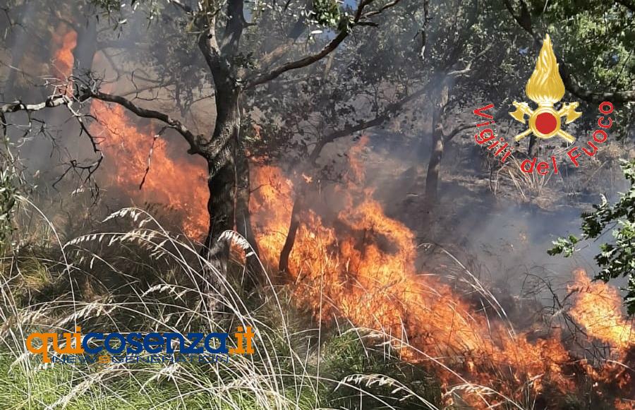 Inendio Catanzaro home