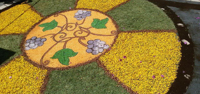Infiorata a Cetraro