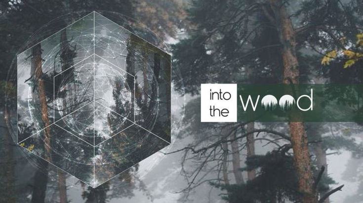 Into The Wood artwork
