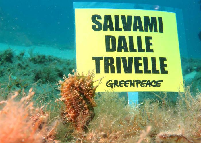 Isola-d'Elba GREENPEACE