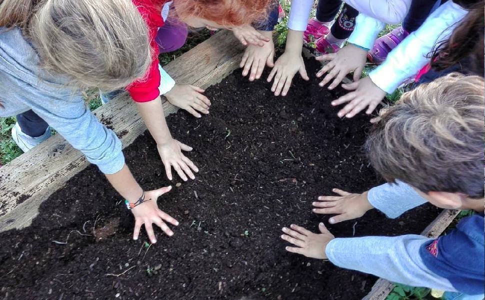 Laboratori green nelle scuole con giardini e orti. Finanziati 232 progetti in Calabria 51 LABORATORI GREEN SCUOLE