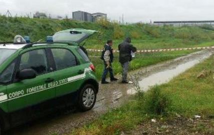 LEGNOCHIMICA ESTERNA