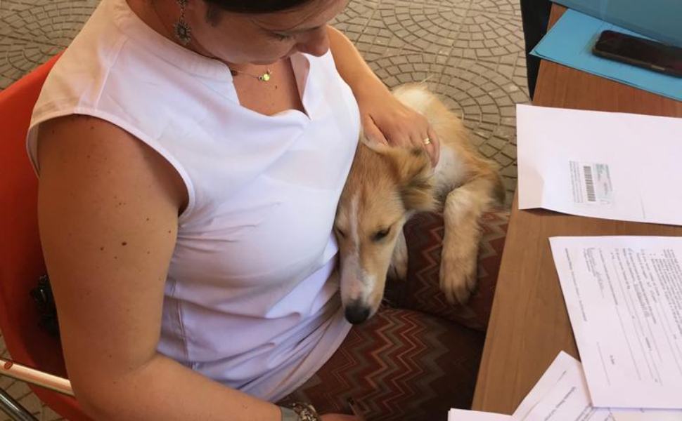 La Giornata del microchip a Bisignano 01