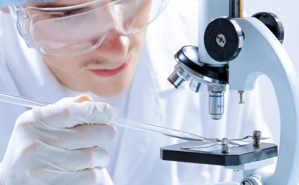 La ricerca pubblica italiana