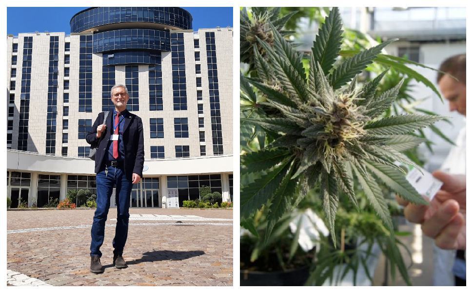 Laghi cittadella cannabis terapeutica