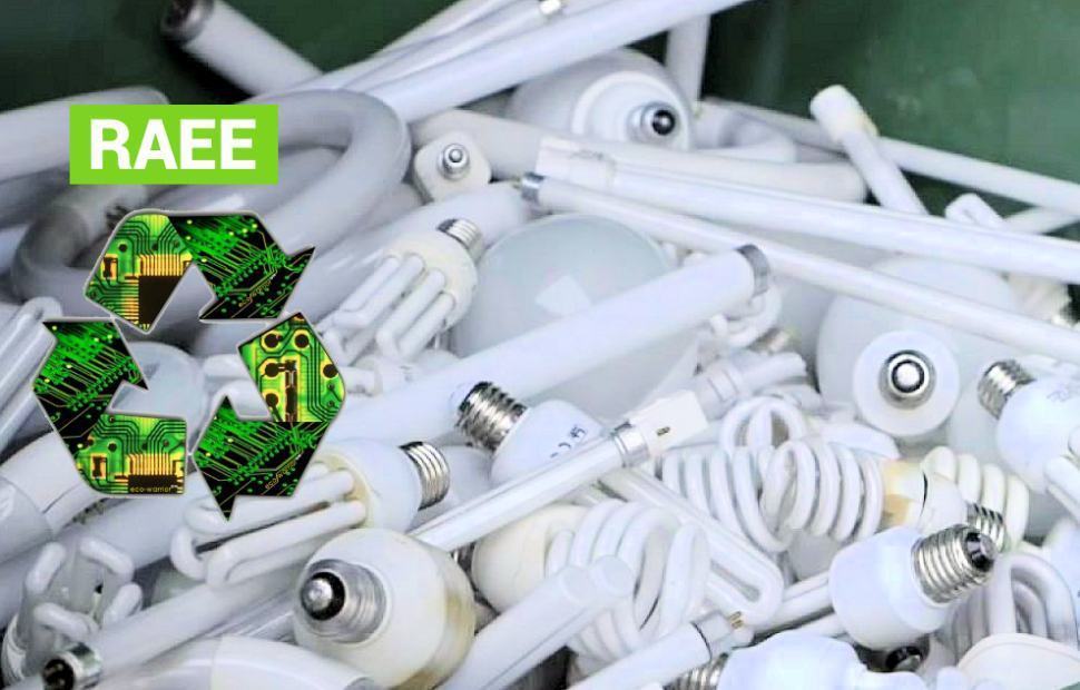 Lampadine Rae Cosenza