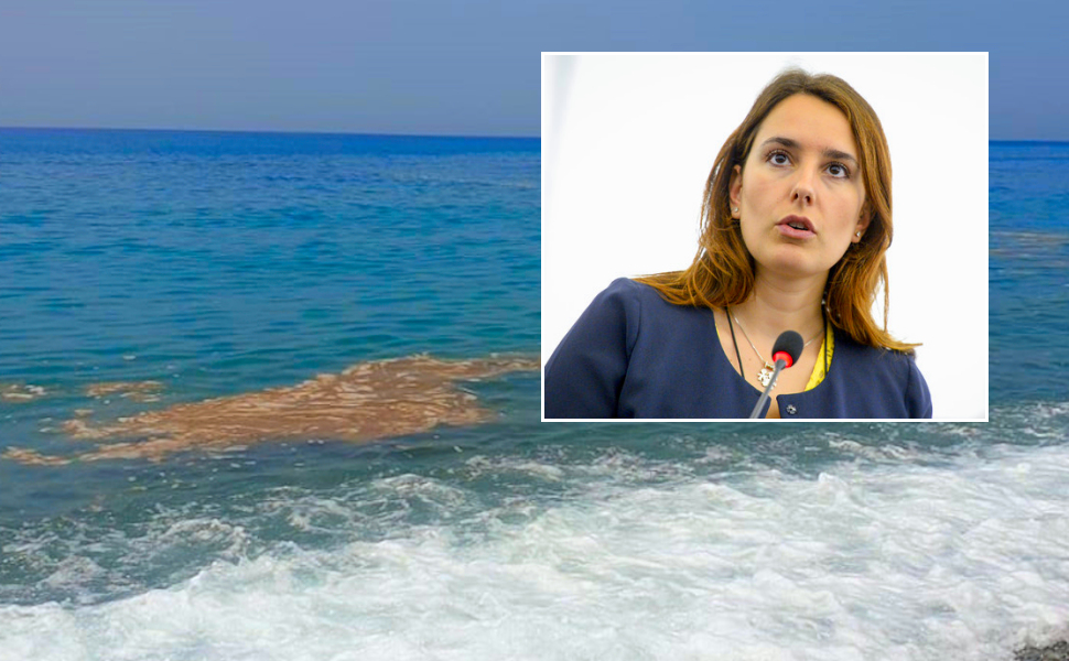 Depurazione, Ferrara "bene i controlli, ma la Regione deve spendere i fondi europei" 51 Laura ferrara depurazione