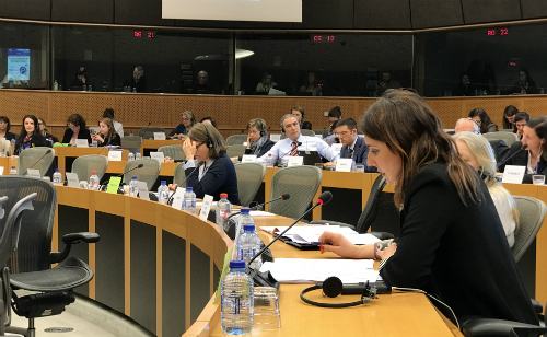 Conservazione Zone di protezione speciale, Ferrara interroga la Commissione europea 51 LauraFerrara
