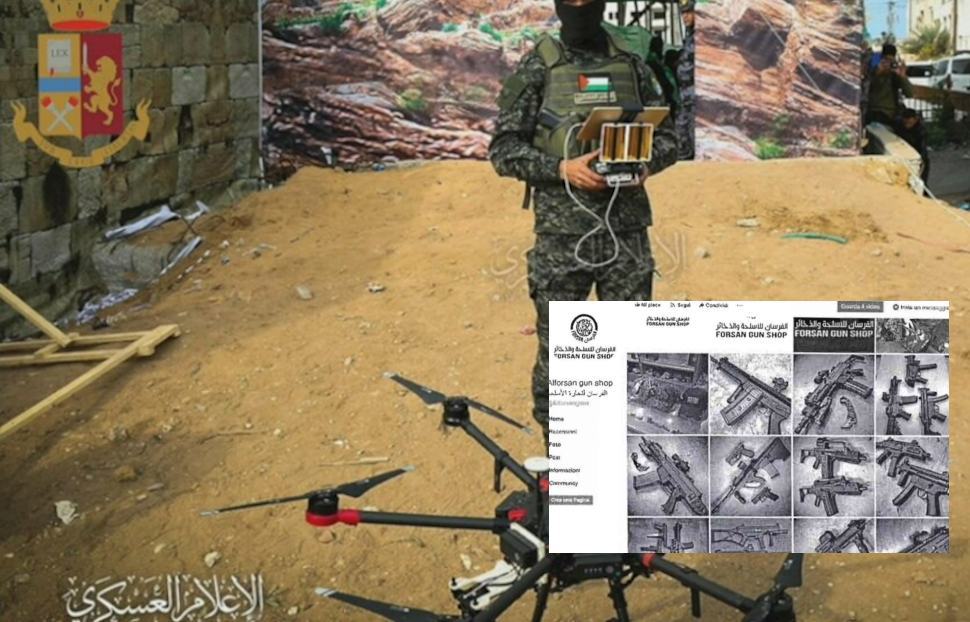 Lupo solitario luzzi