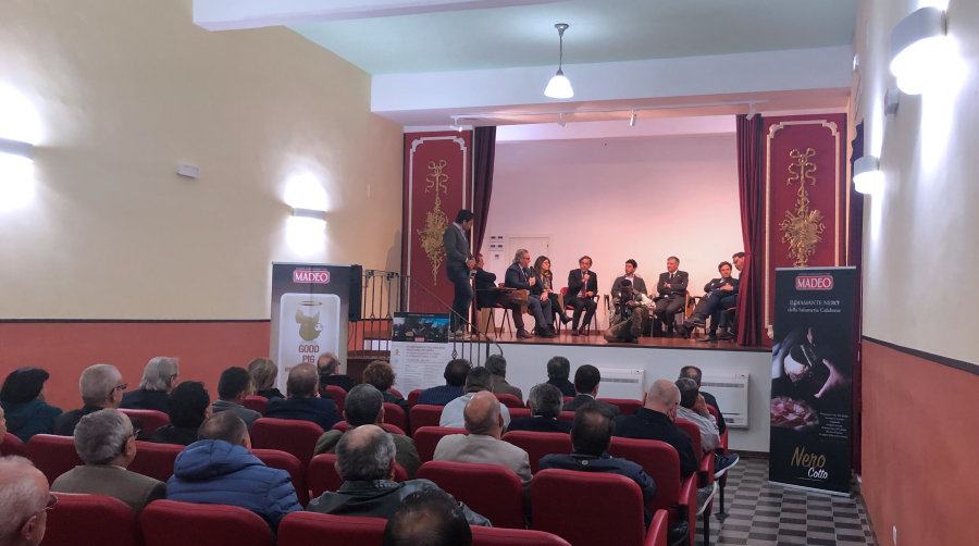 Malattia Vescicolare del suino2