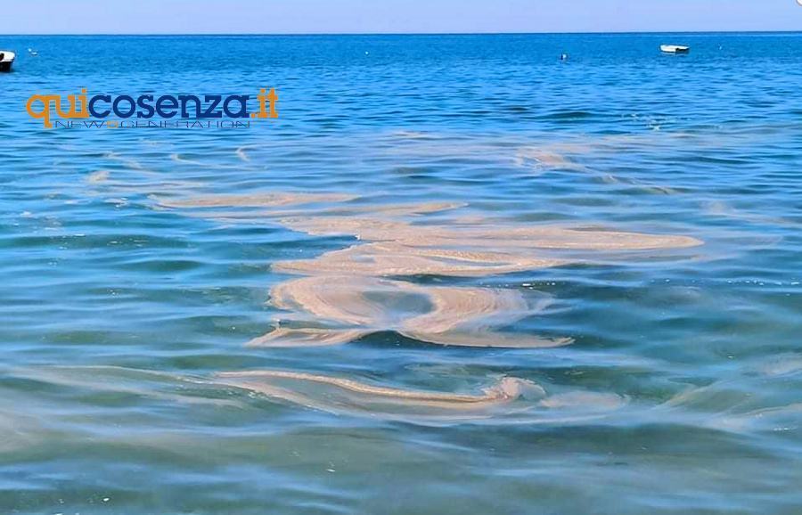 Mare sporco Fuscaldo1 1