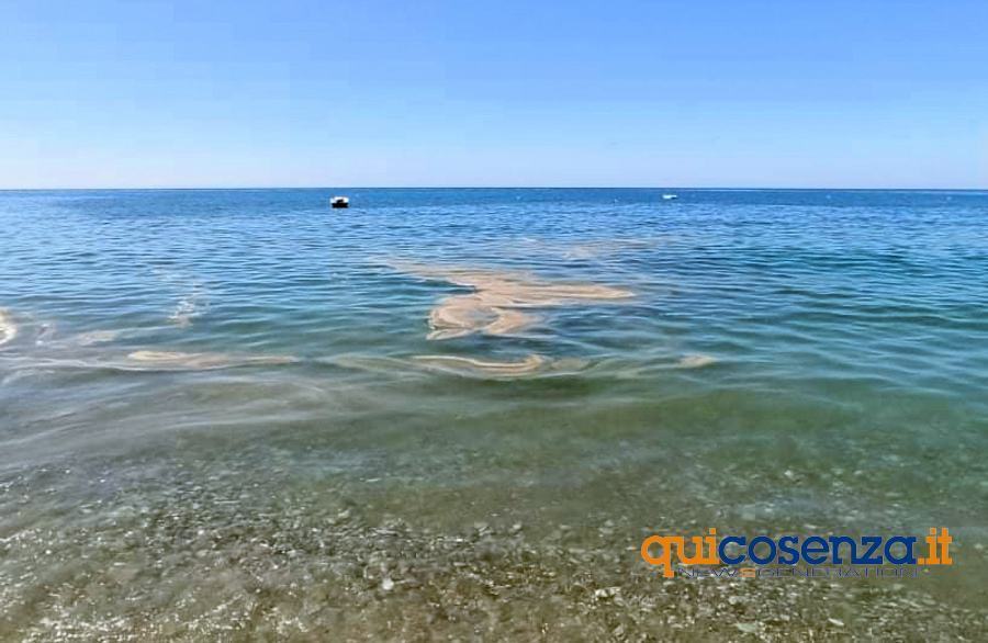 Mare sporco Fuscaldo2