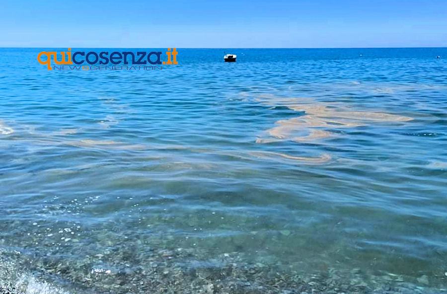 Mare sporco Fuscaldo3