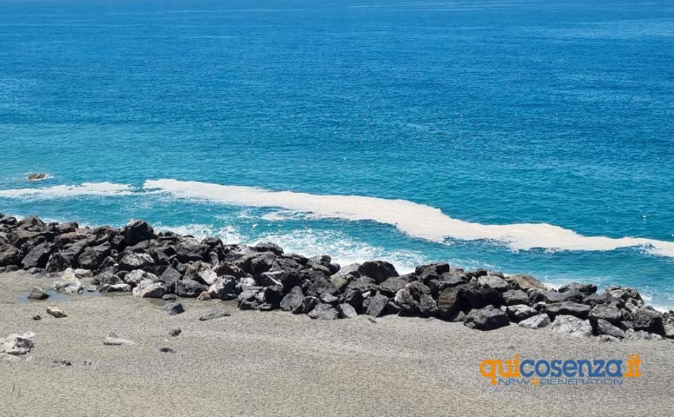 Mare sporco, Orsomarso al Codacons: "fioritura algale è un fenomeno complesso" 51 Mare sporco tirreno cosentino