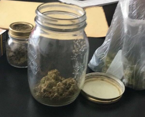 Possedeva marijuana in alcuni barattoli, pronta per lo spaccio: denunciato 31enne cosentino 51 Marijuana 11