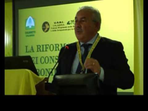 Intimidazione a Trebisacce, fanno irruzione in un'azienda e tagliano 200 albicocchi 200 Marsio Blaiotta
