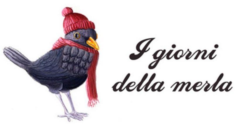 Merla 1024x553 816x441 1