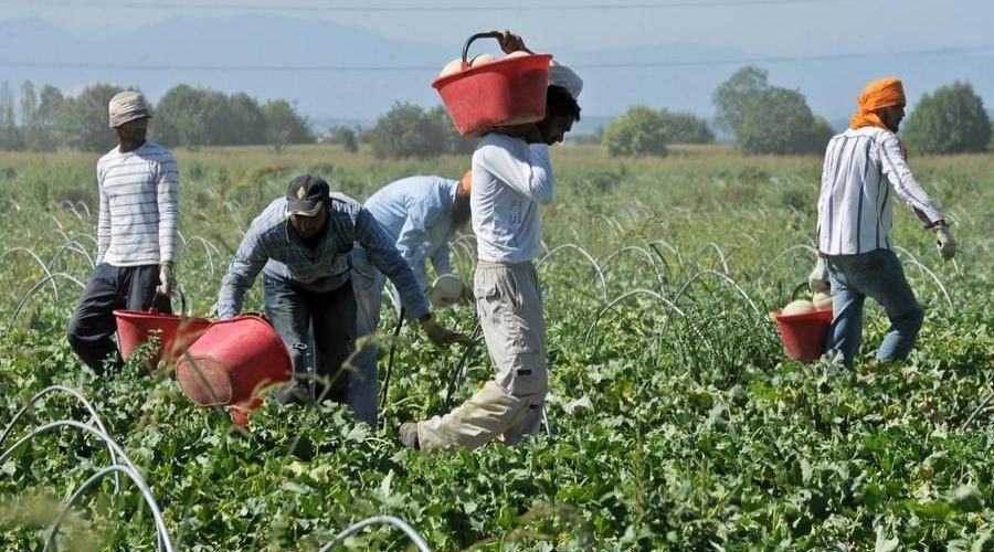 Migranrti campi lavoro