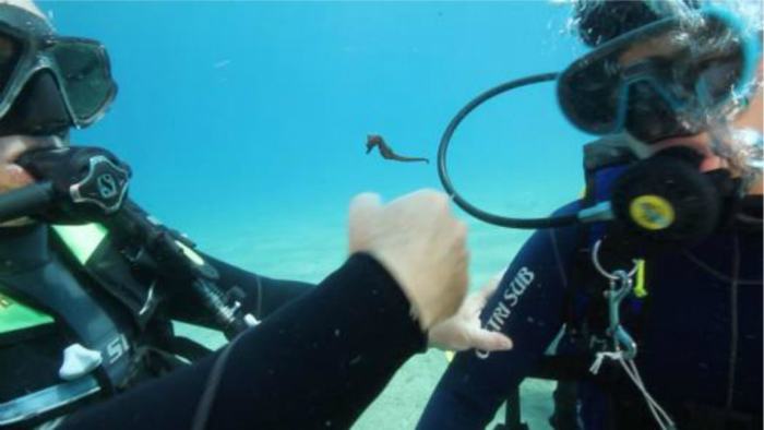 Monitoraggio Glicemia 01