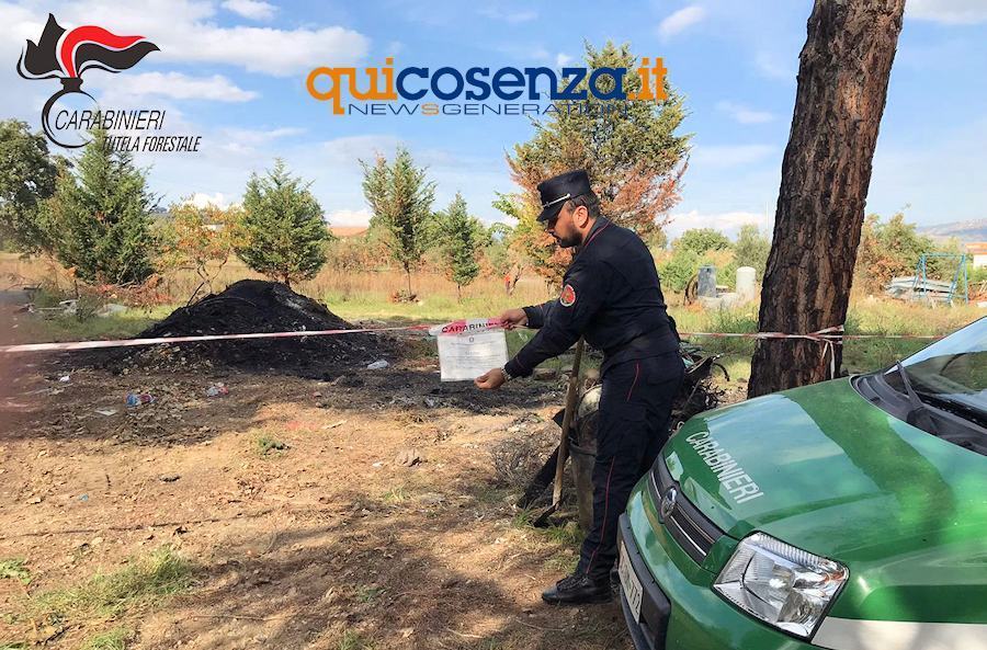 Montalto smatimento rifiurti forestale