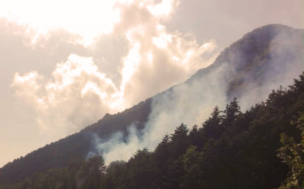 Da tre giorni brucia anche Monte Cocuzzo. Il Sindaco di Mendicino "siate maledetti" 51 Monte cocuzzo