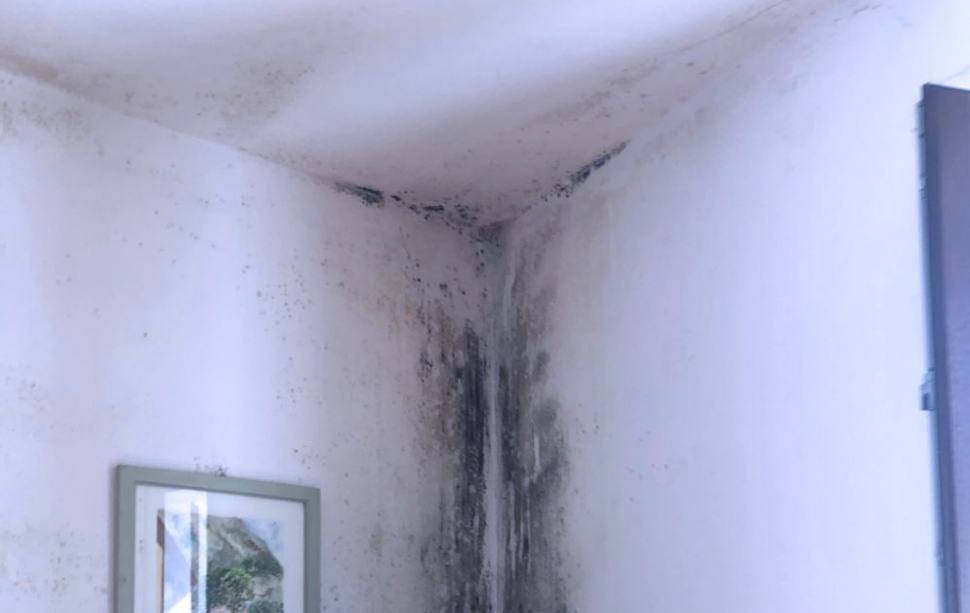Problemi d'umidità: tra i più diffusi nelle abitazioni la muffa da condensa 68 Muffa condensa