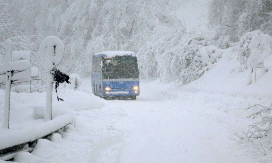 colpo di coda invernale