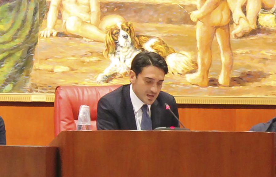 Pd, Irto: "la mia candidatura è superata". Dal Nazareno: "il candidato resta lui" 51 Nicola irto2