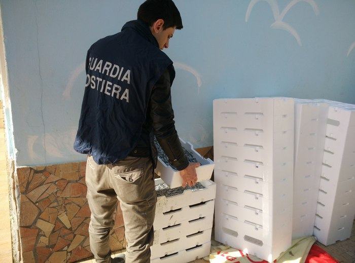 Bianchetto sequestro