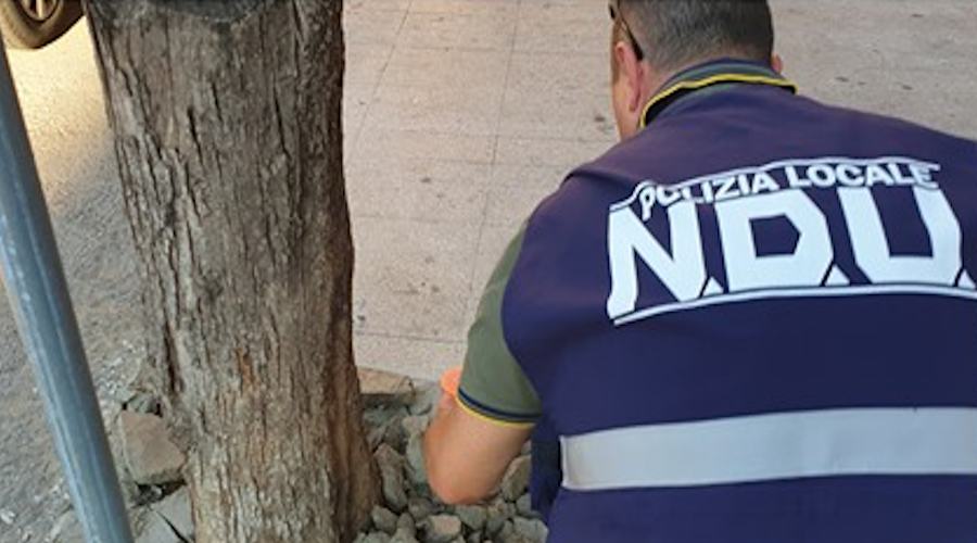 Nucelo Decoro Urbano alberi cementati