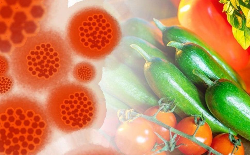Nutrizione e Covid