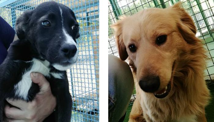 Odry e Federico Copia