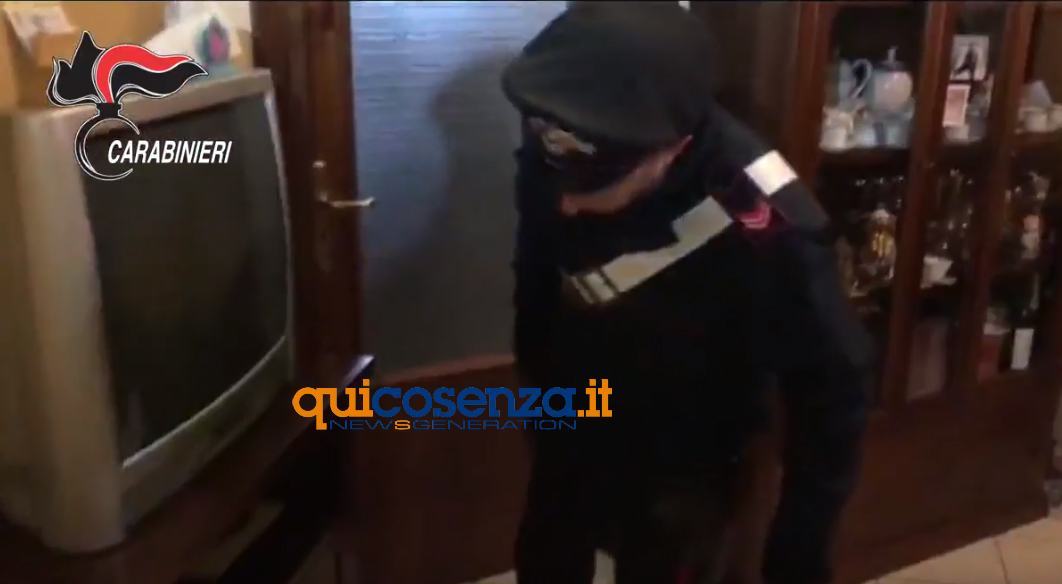 Operazione Green Day