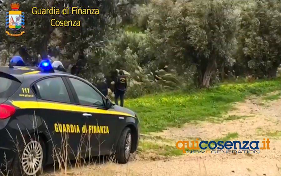 Amantea: arrestato La Rupa e il figlio, facevano affari commercializzando falso olio biologico 53 Operazione Mosca bianca2