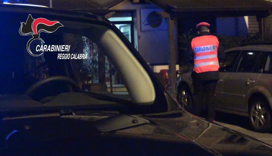 Maltrattamento di animali, aveva 18 cani incatenati e costretti in ambienti angusti 51 PALMI carabinieri controlli reggio