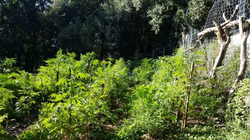 PHOTO 2018 10 25 07 46 02