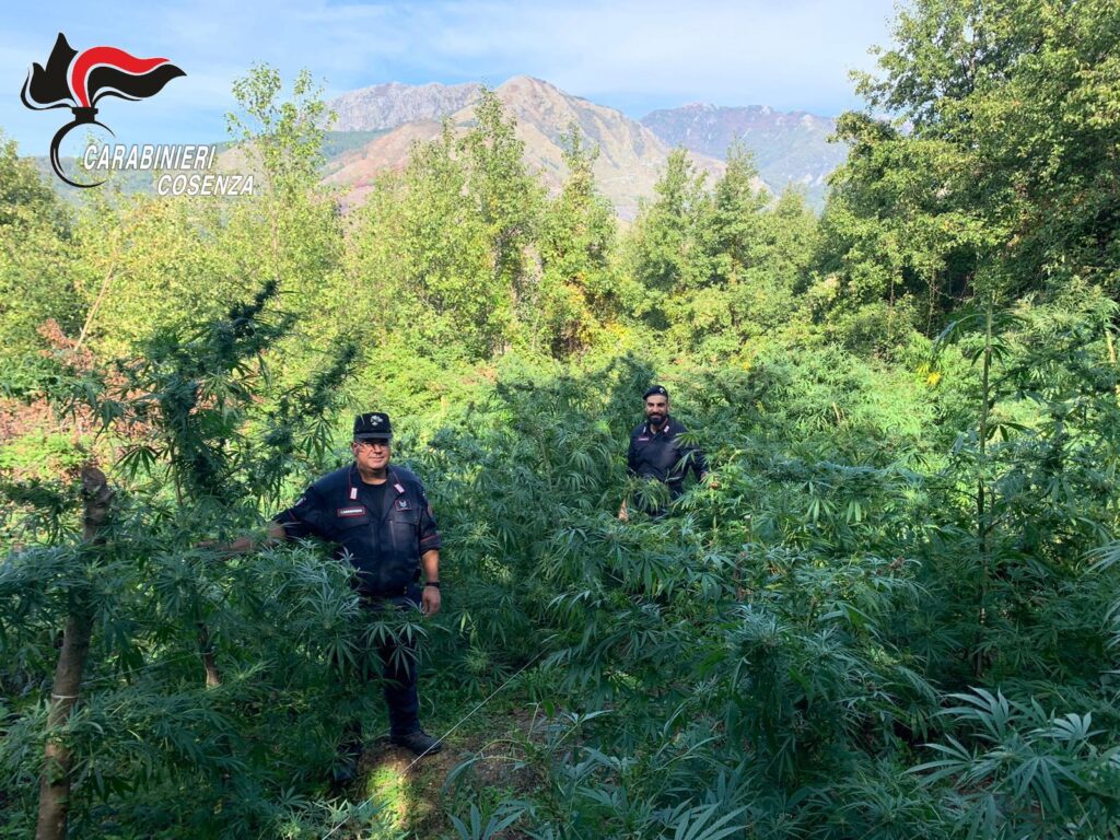 PHOTO 2019 10 24 14 06 13