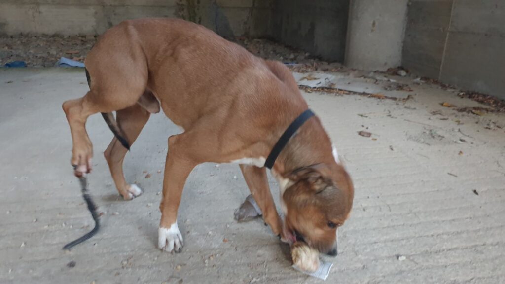 PHOTO 2019 11 19 19 14 41 1