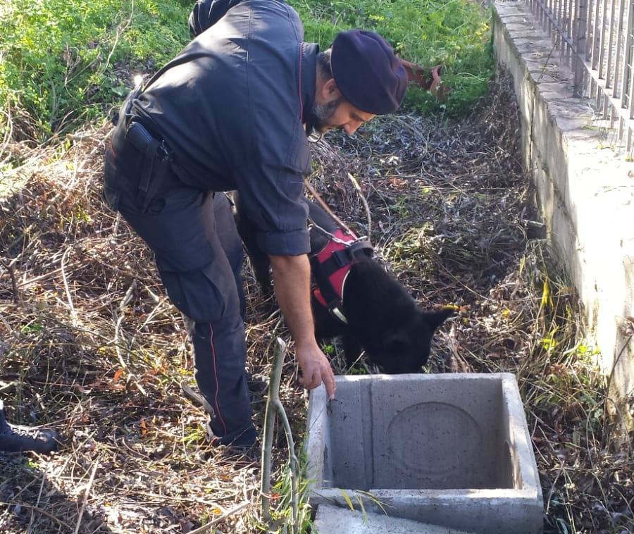 PHOTO 2019 12 18 11 48 49 1