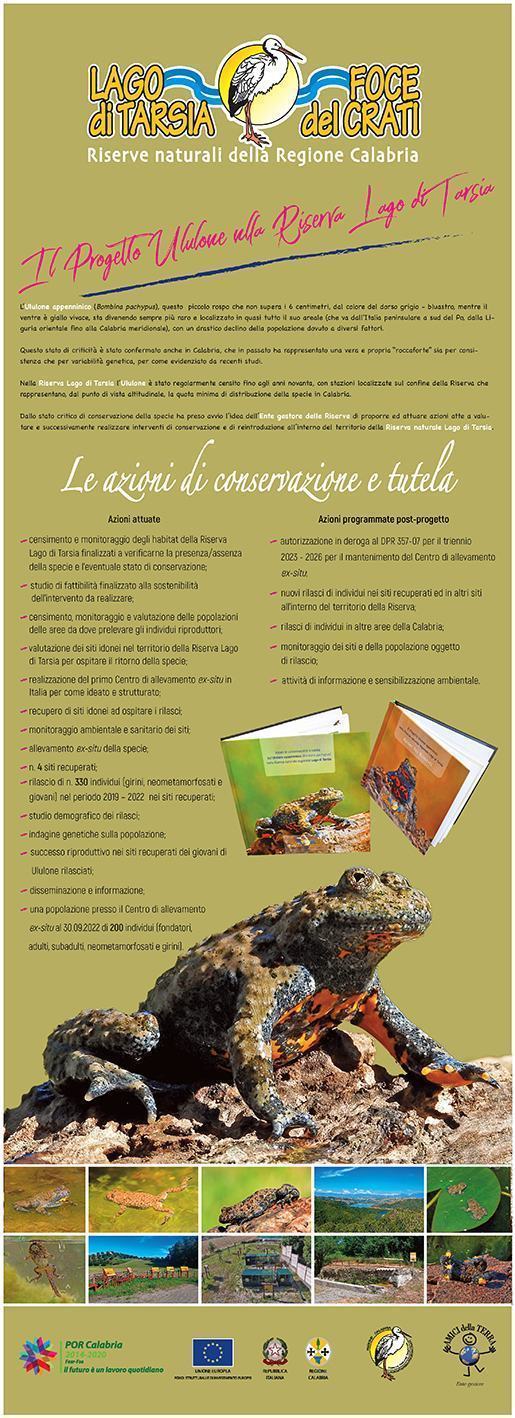 PROGETTO ULULONE