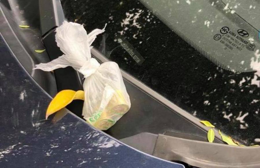 PROIETTILI sindaco roccabernarda bilotta