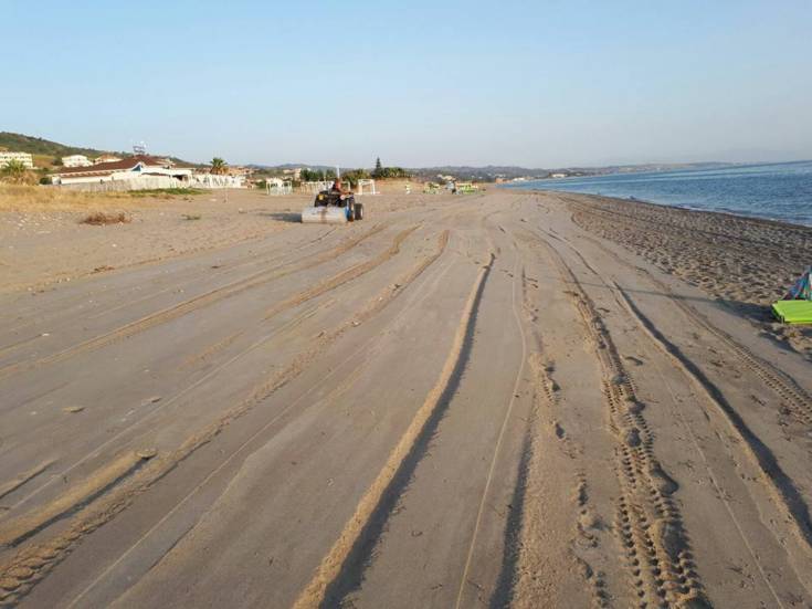 PULIZIA MANDATORICCIO 10