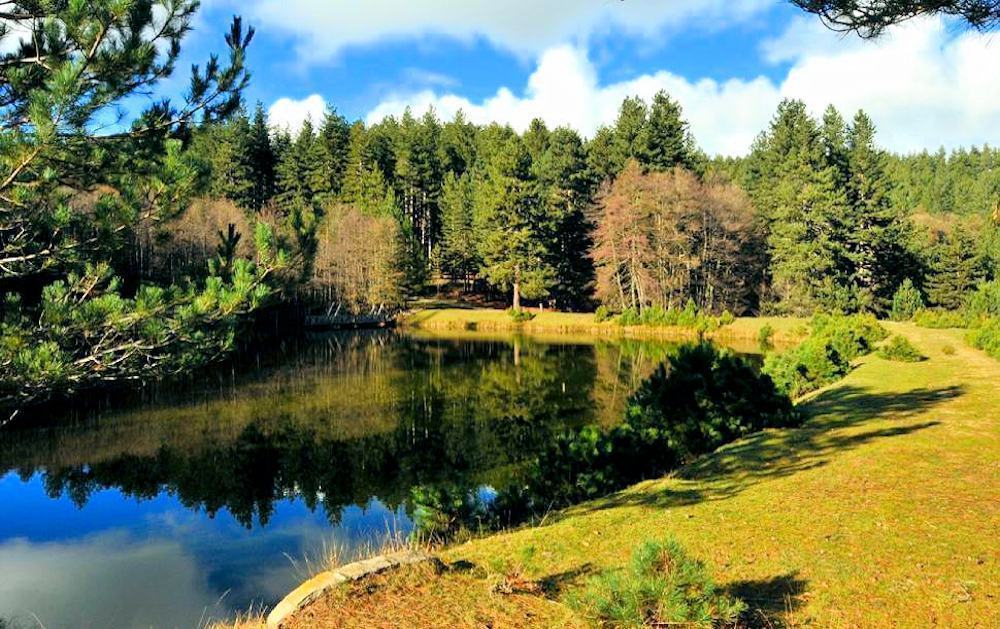 Comune di Spezzano e Parco Sila, differenziare i rifiuti per rispettare il territorio 51 Parco della Sila Cosenza